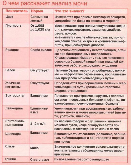 Моча у грудничка прозрачная