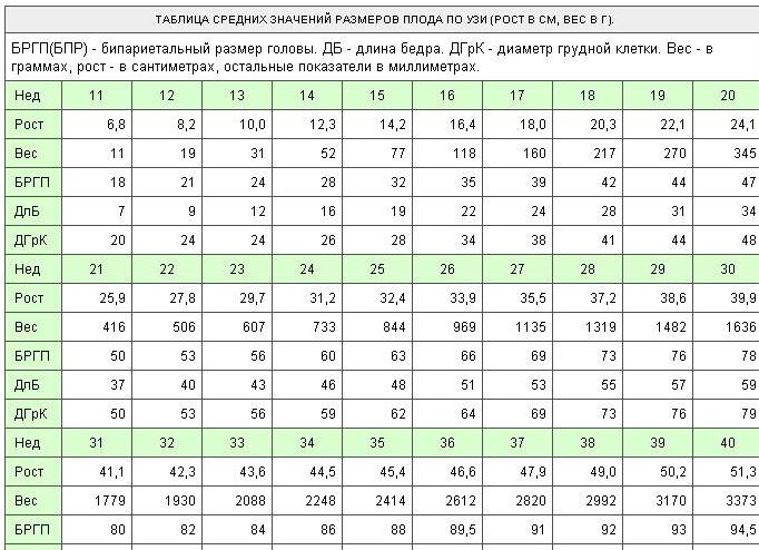 Мозжечок плода по неделям таблица Мозжечок плода по неделям таблица