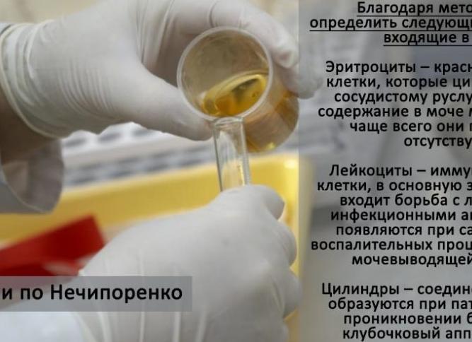 Как сдавать по нечипоренко