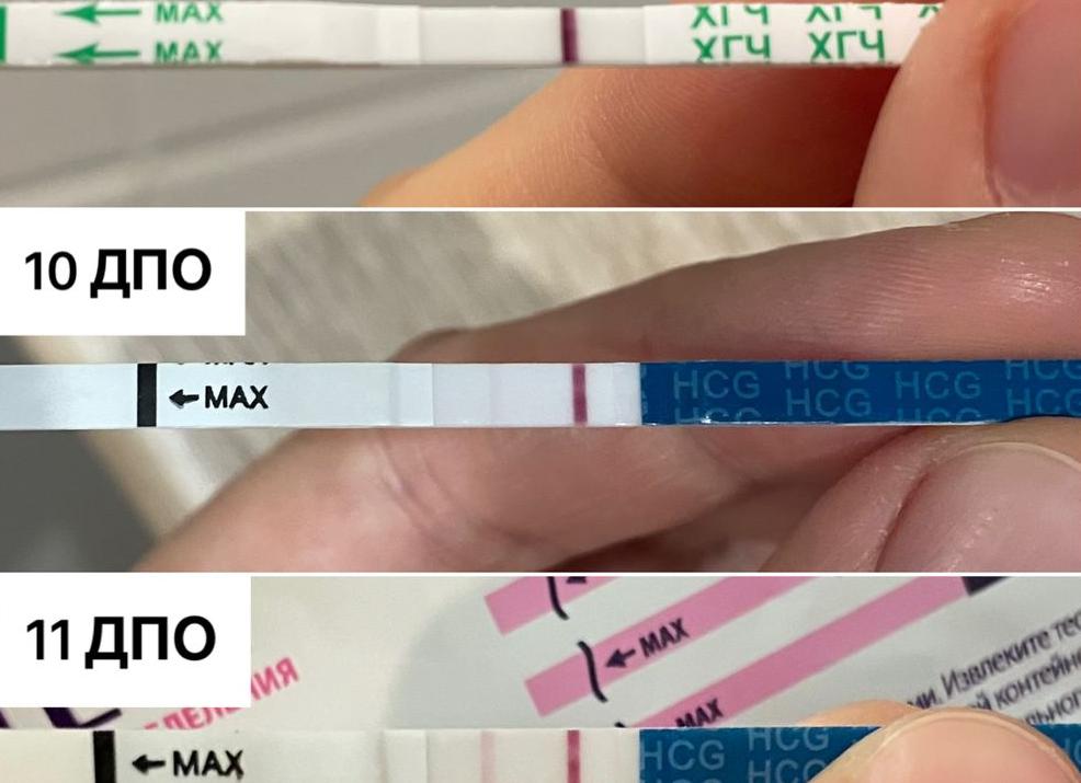 Хгч как сдавать