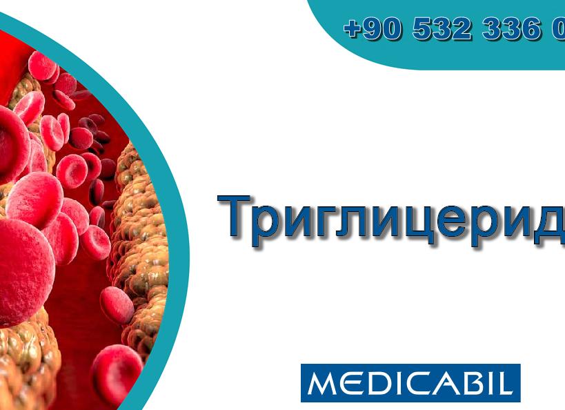 Анализ крови на триглицериды что это такое