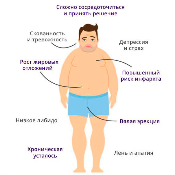 Гормон тестостерон у мужчин за что отвечает