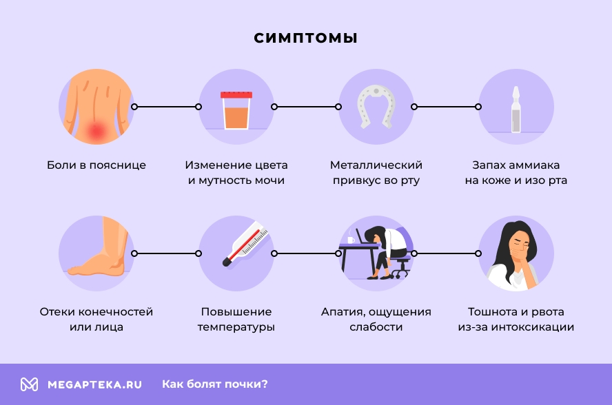 Как определить что болят почки