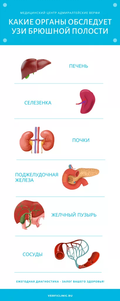 Как приготовиться к узи брюшной полости и почек