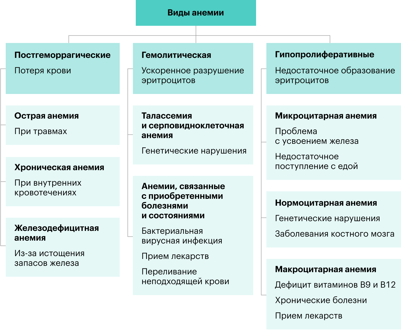 Макроцитарная анемия что это такое
