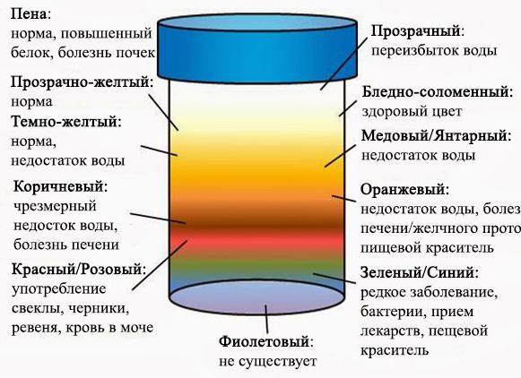 Моча цвета чая