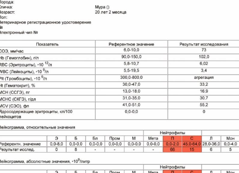 Лейкоцитоз со сдвигом влево это Лейкоцитоз со сдвигом влево это