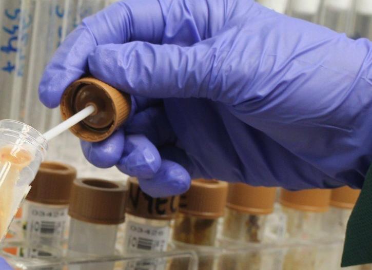 Как сдавать анализ на дизгруппу