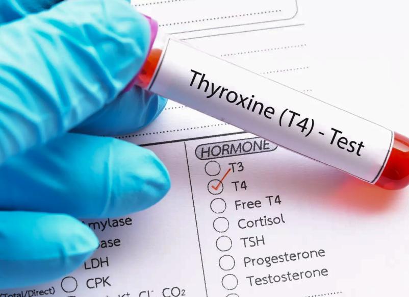 Гормон общий т4 Гормон общий т4