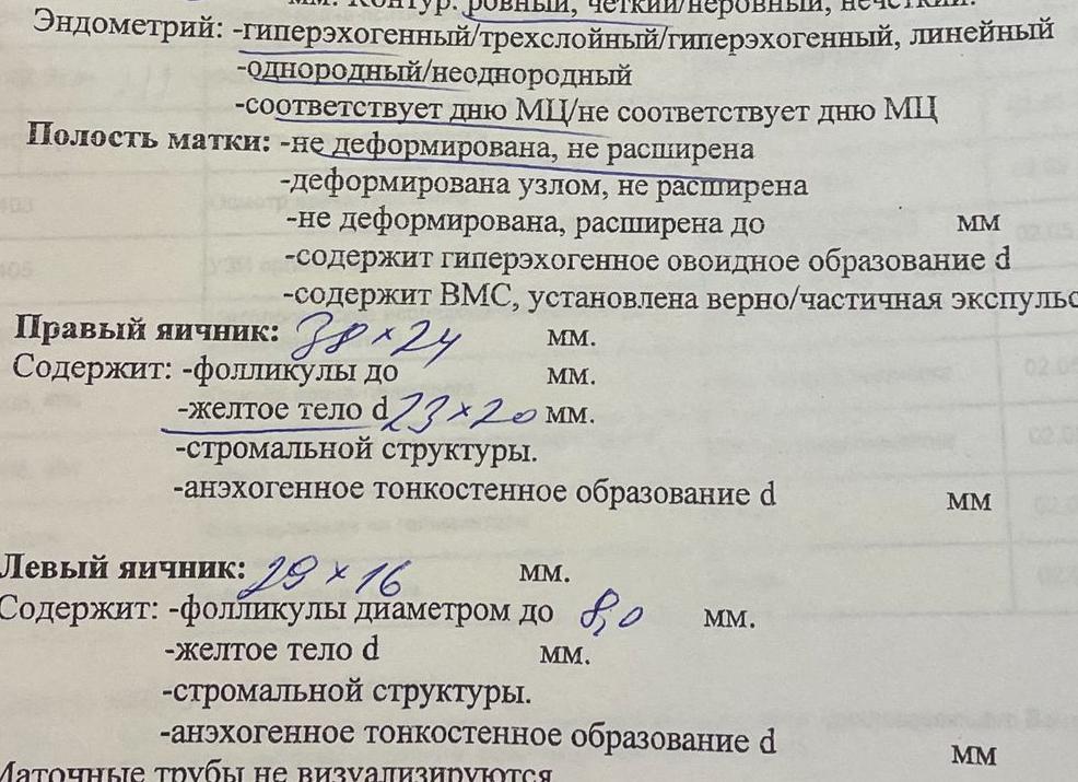 Гиперэхогенный эндометрий что это значит