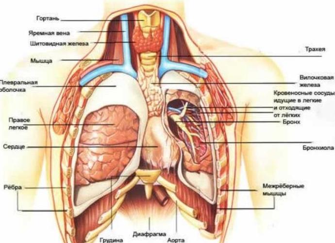 Боль под левой грудиной у женщины