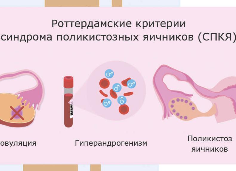 Андроген гормон у женщин