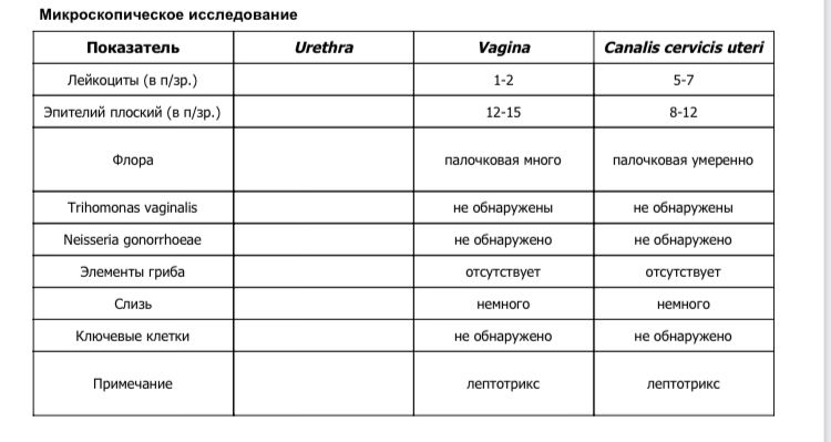 Как лечить лептотрикс в мазке