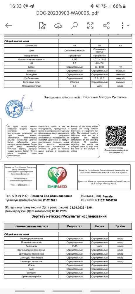 Лейкоциты в моче у ребенка норма мальчика