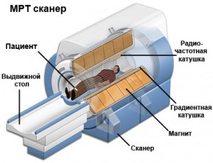 Мрт как проводится процедура