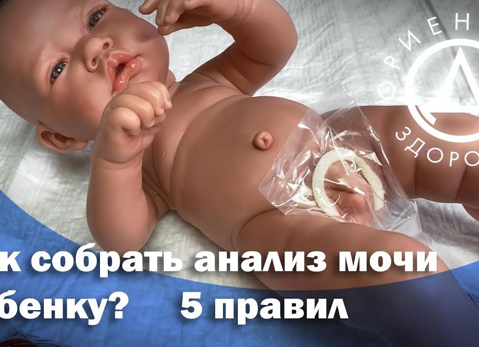 Как собирать мочу у грудничка девочки