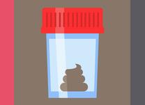 Как правильно сдавать кал на лямблии Как правильно сдавать кал на лямблии