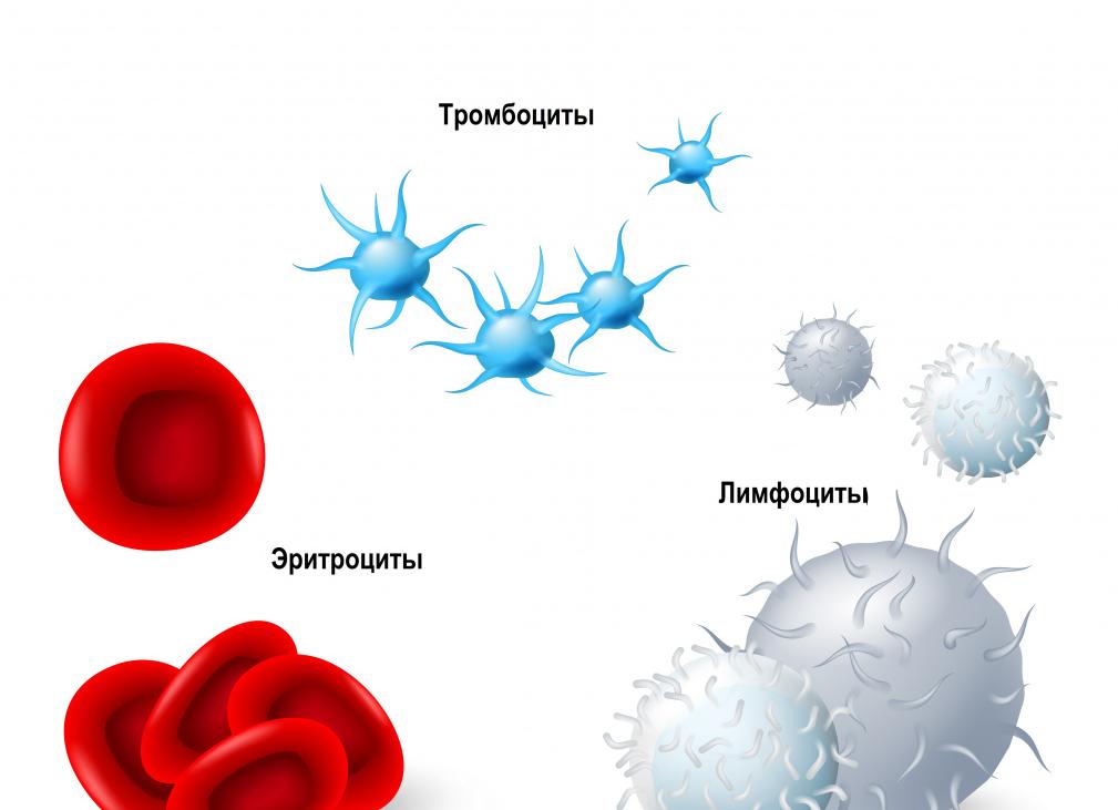 Гемоглобин в эритроцитах