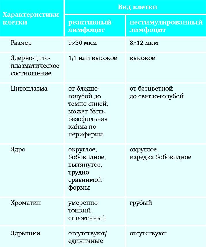 Лимфоциты в крови повышены у ребенка о чем это говорит