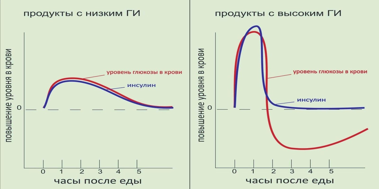 Можно ли во время приема антибиотиков сдавать кровь на гормоны