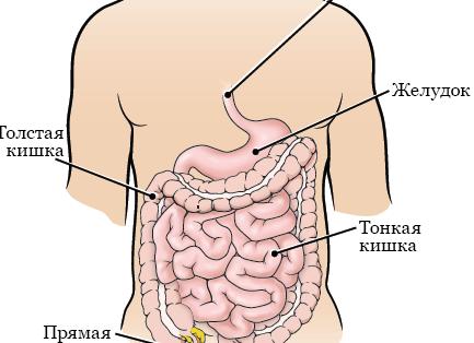 Можно ли с вечера собрать анализ мочи у ребенка