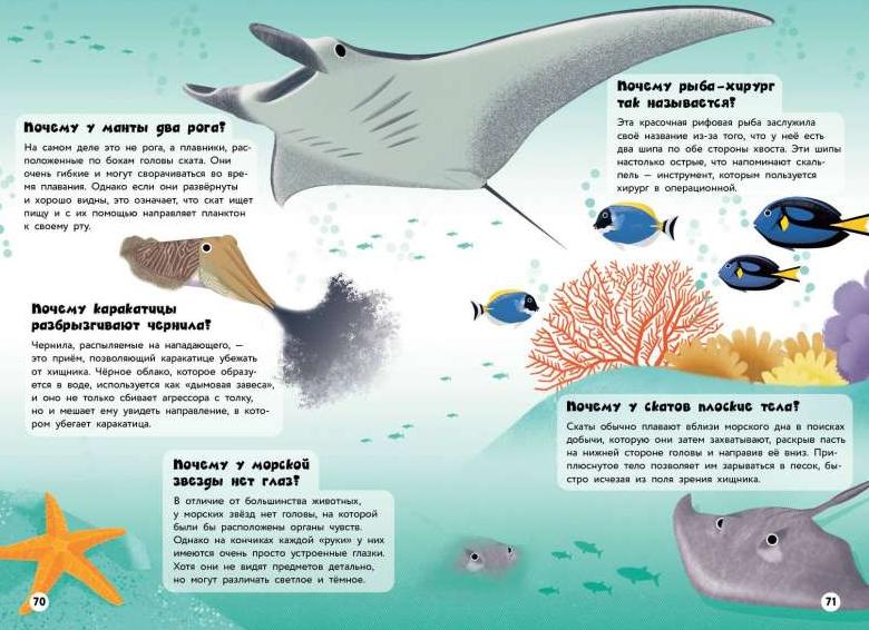 Манту не видно что означает Манту не видно что означает