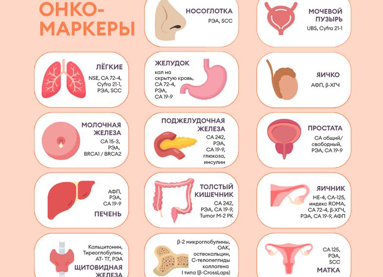 Какие анализы указывают на онкологию Какие анализы указывают на онкологию