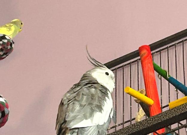 Как понять что у тебя проблемы с почками