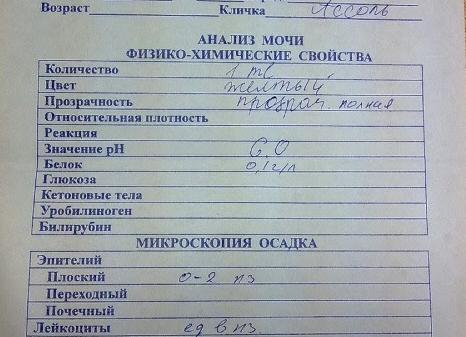 Хороший анализ мочи