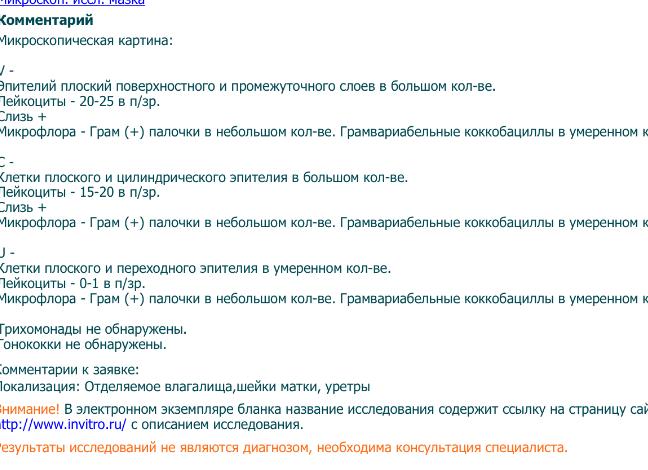 Грамвариабельные коккобациллы в небольшом количестве