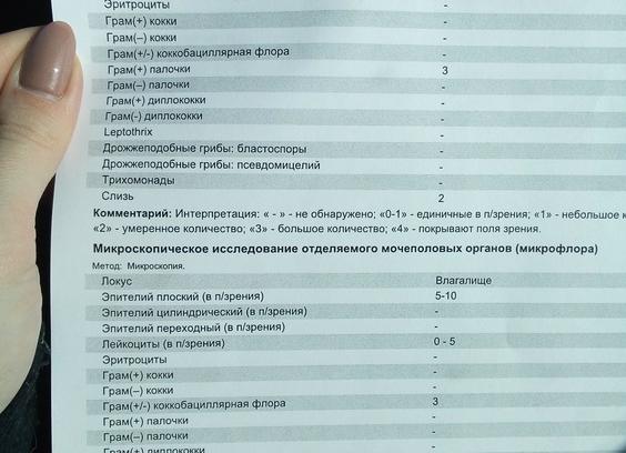 Грам коккобациллярная флора