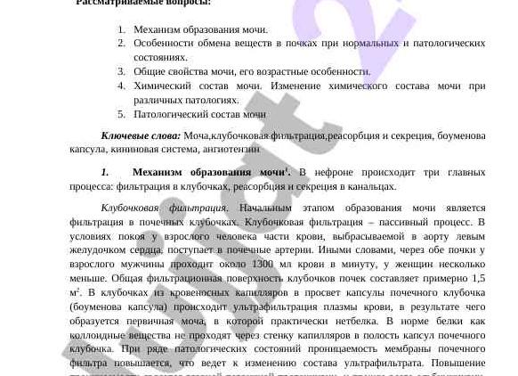 Фильтрация крови и образование мочи происходит в