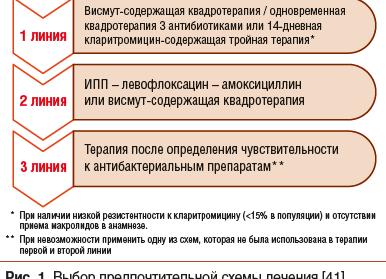 Эрадикационная терапия что это такое