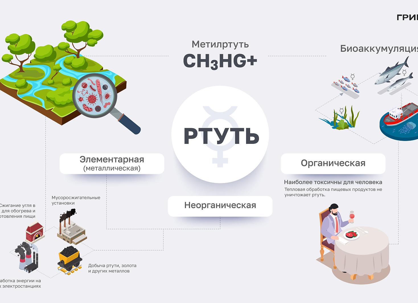Действие ртути на организм человека