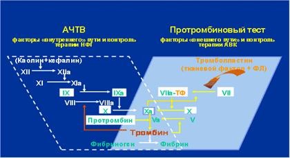 Активированное частичное тромбопластиновое время
