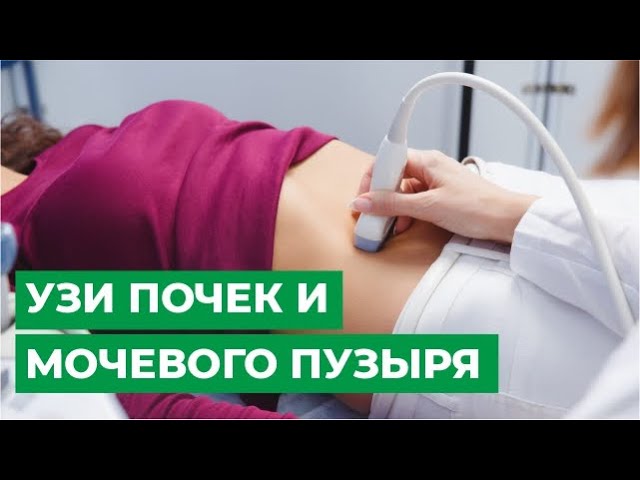 Как делается узи почек