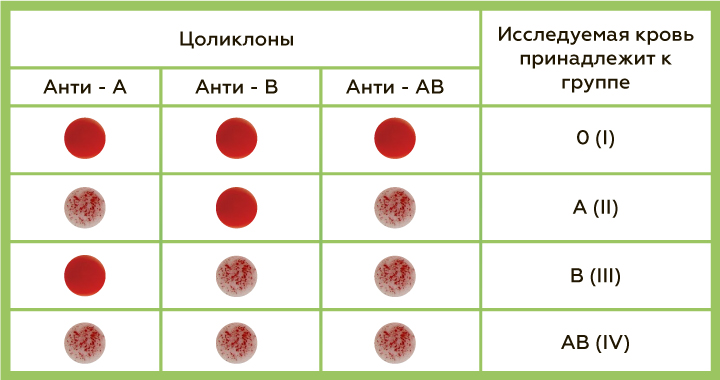 Как узнать резус фактор крови