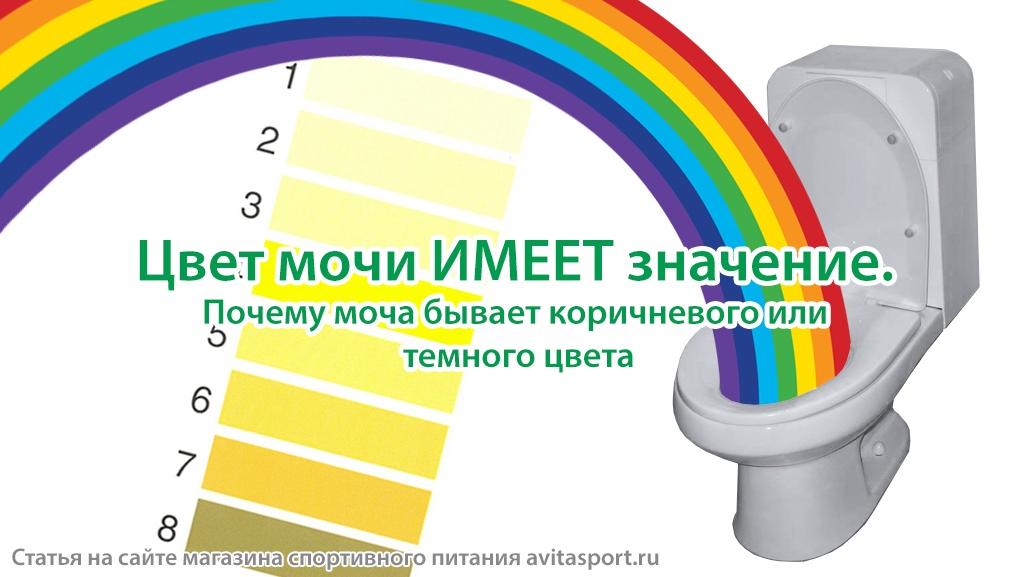 Моча темно коричневого цвета причины