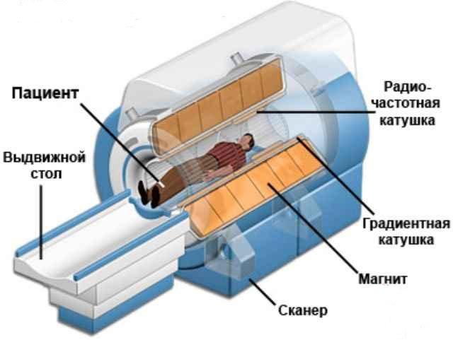 Мрт что означает