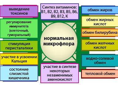 Микрофлора тела человека