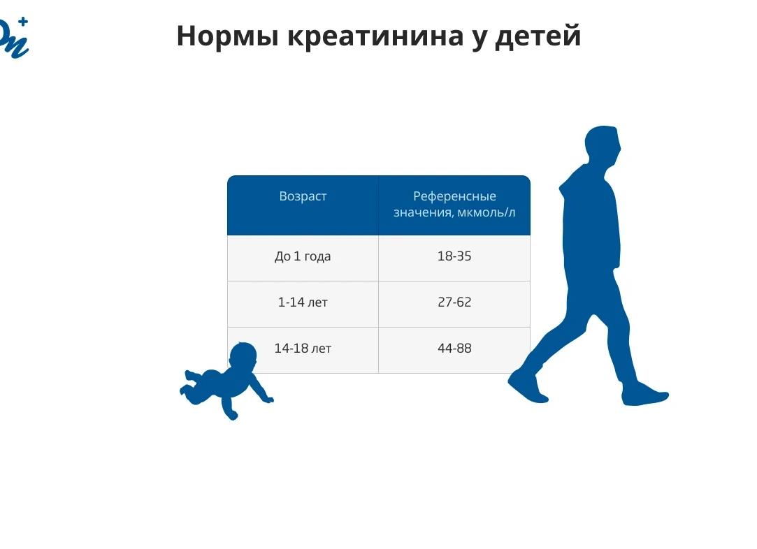Креатинин у ребенка понижен Креатинин у ребенка понижен