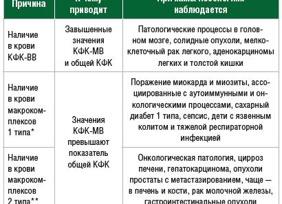 Креатинфосфокиназа в крови что это такое