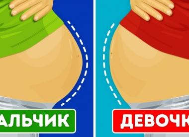 Фото как по форме живота определить пол ребенка