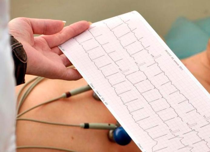 Эхо кг и экг в чем разница