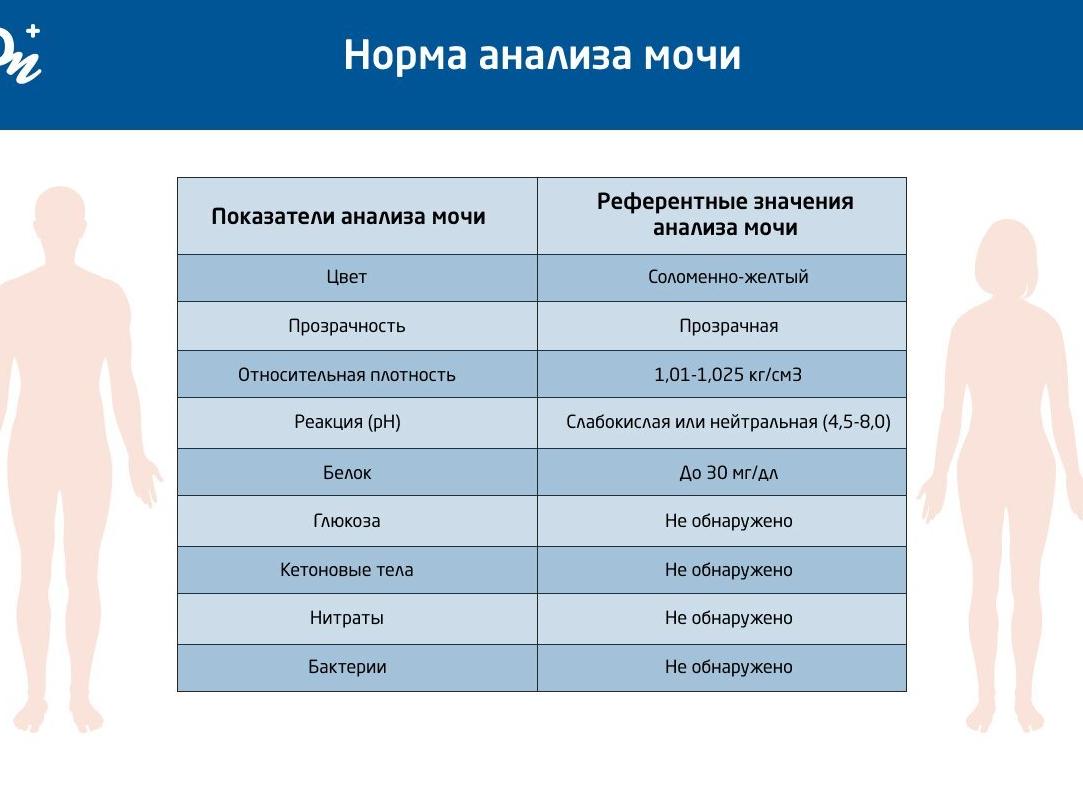 Что показывает анализ мочи на стерильность