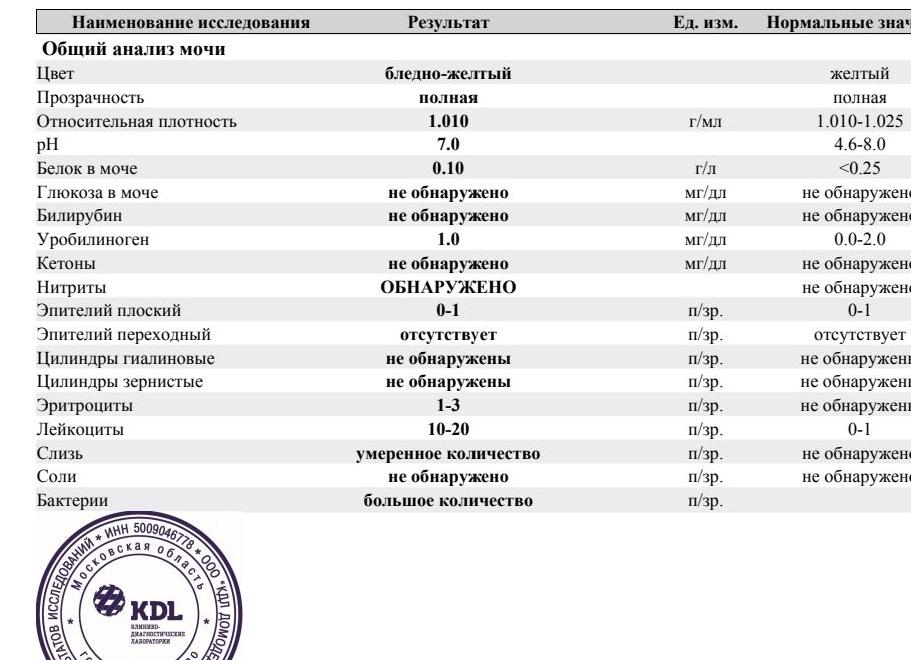 Бактерии в моче у ребенка