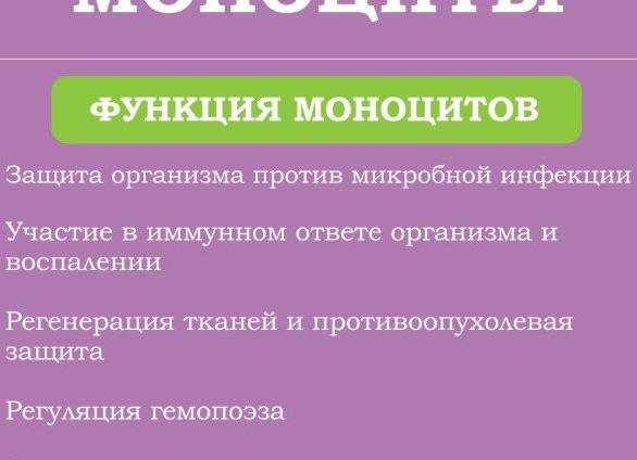 Анализ крови моноциты повышены что это значит у ребенка Анализ крови моноциты повышены что это значит у ребенка