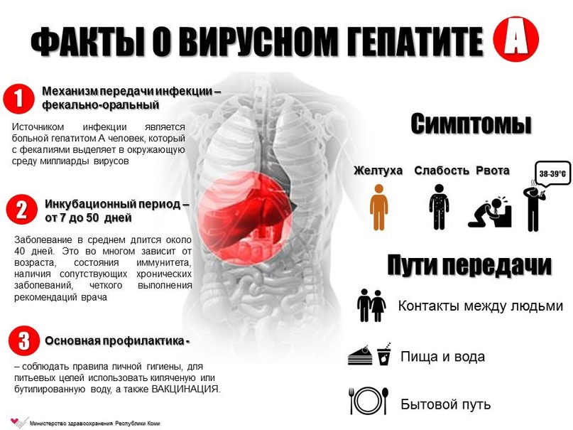 Гепатит а это желтуха или нет