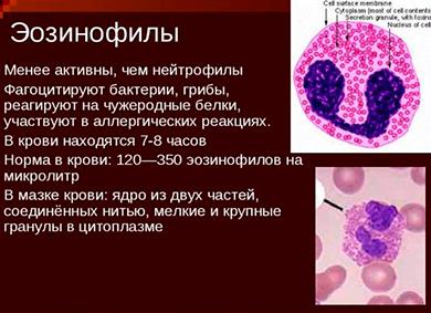 Катионный протеин эозинофилов повышен что это значит