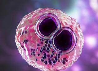 Цитомегаловирус пцр что это